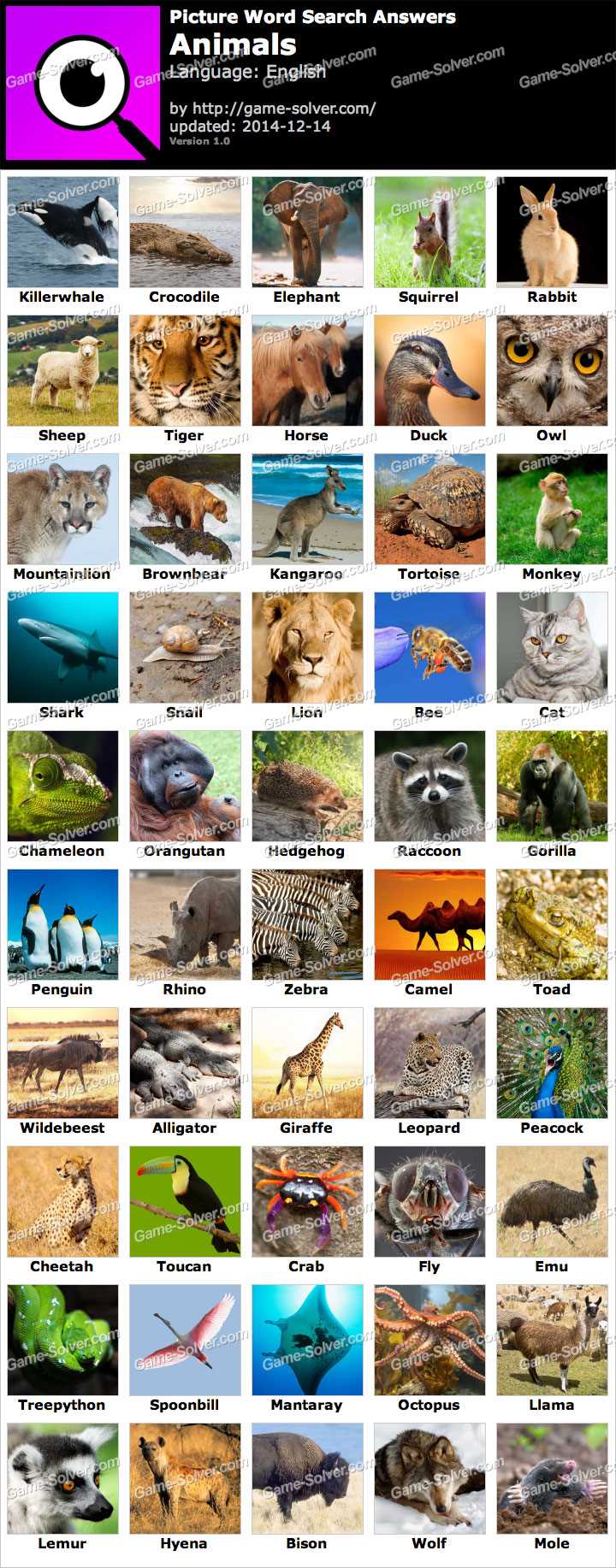 100 pics animal answers