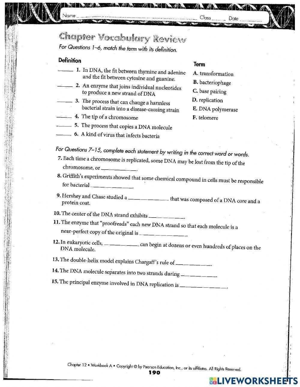 12.3 dna replication answer key