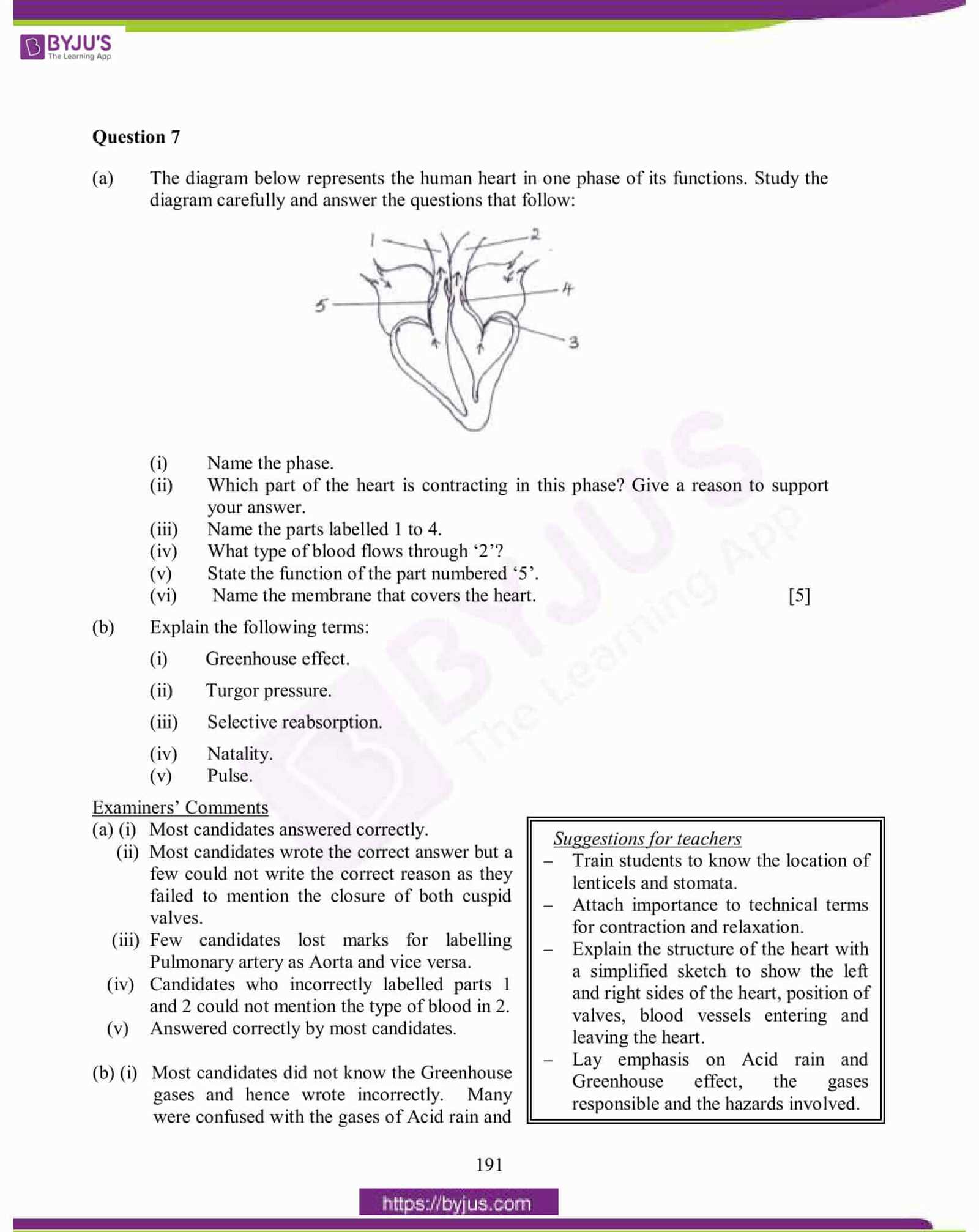 2015 ap bio exam answers