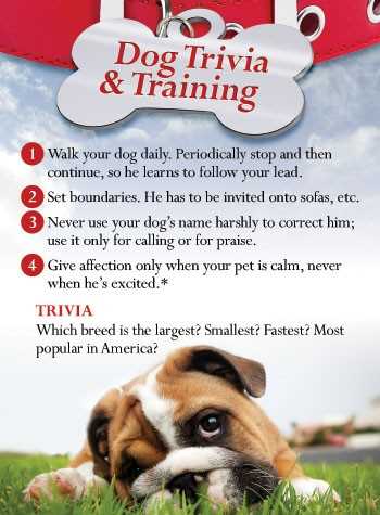 dog trivia questions and answers