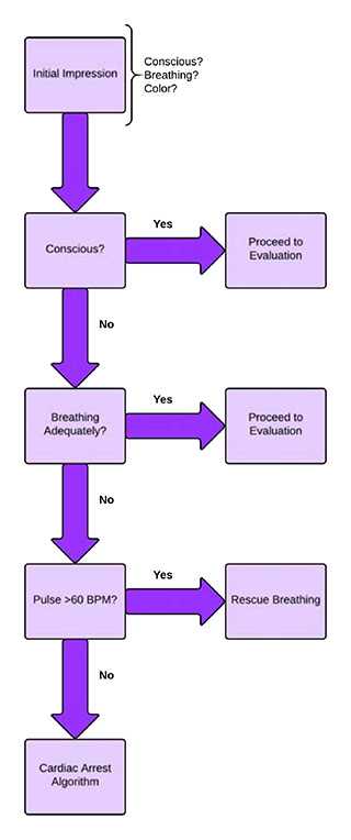 pals case scenarios answers