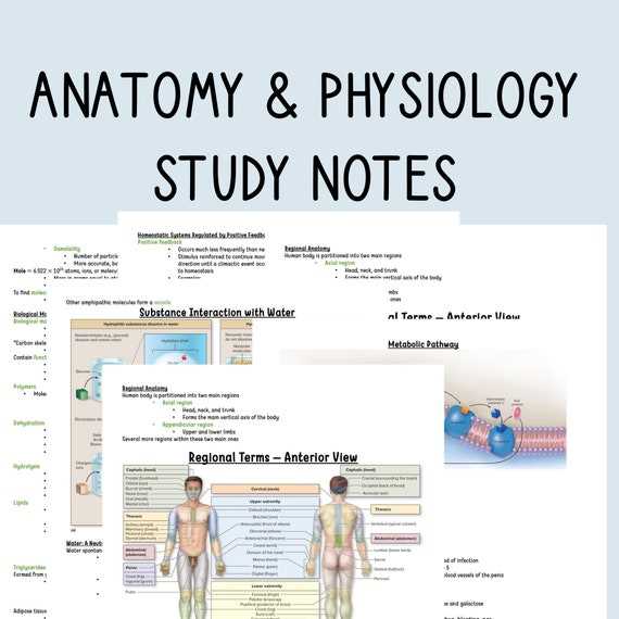 a&p final exam study guide