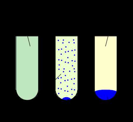 microbiology lab exam 2 study guide