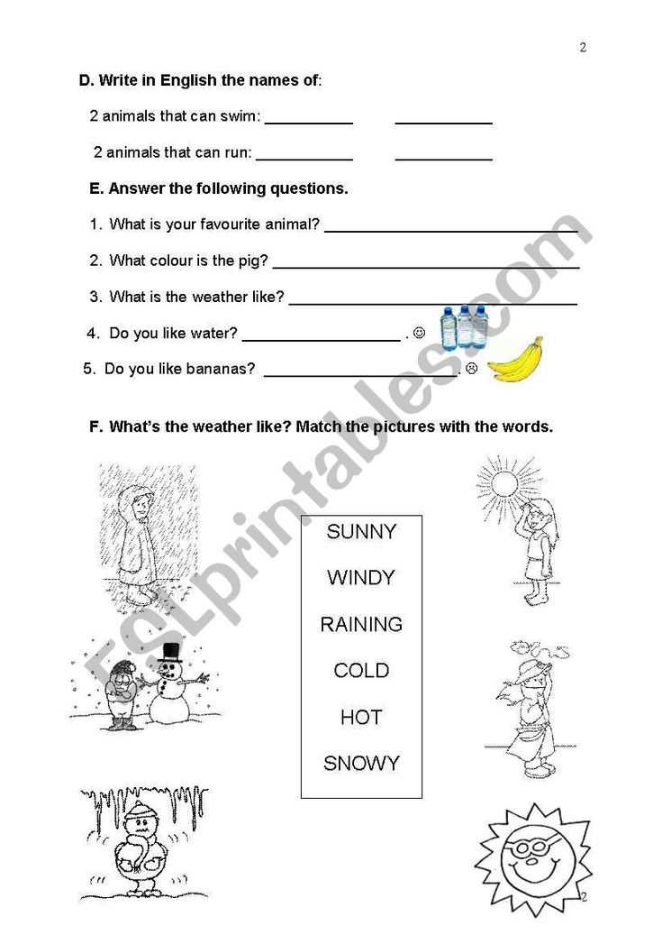 grade 3 english test papers