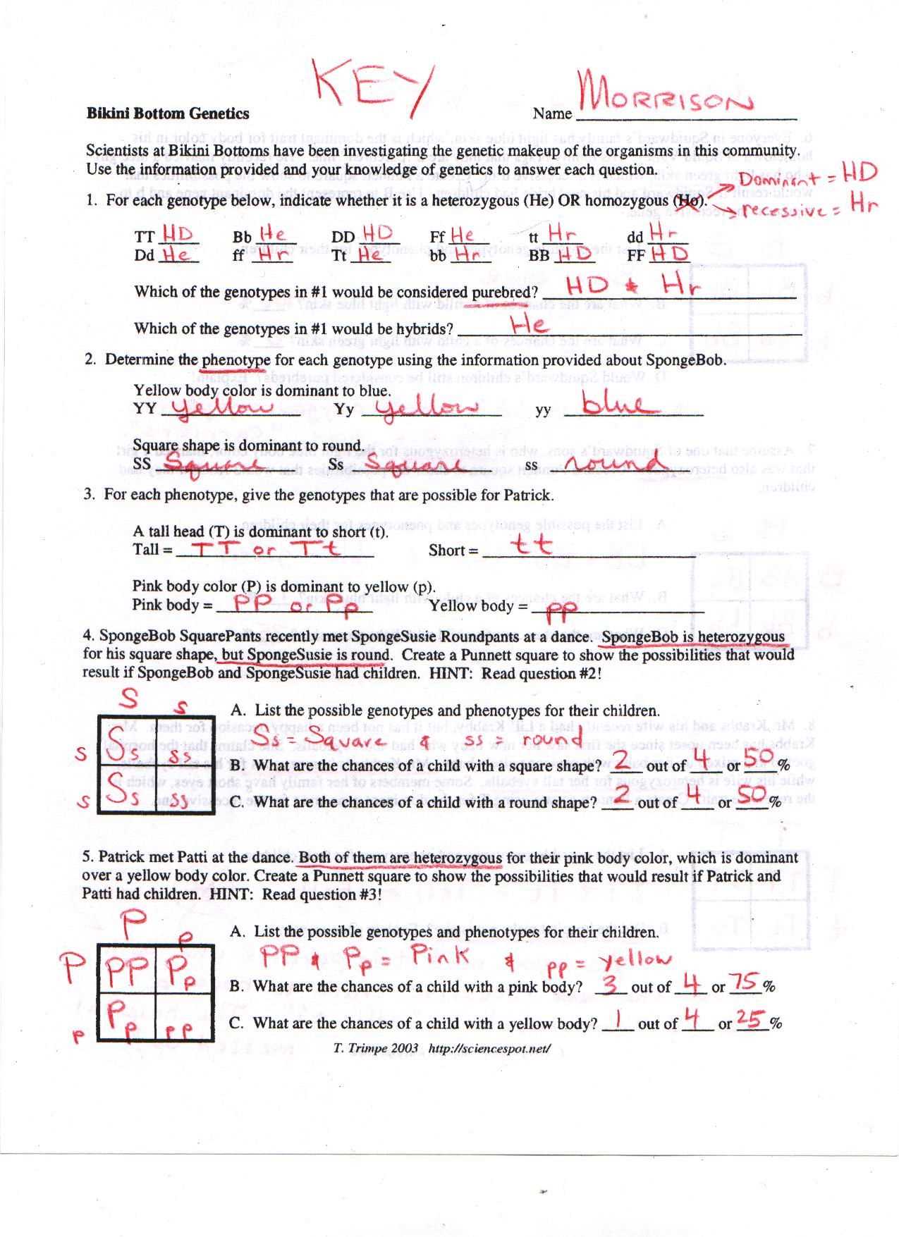 spongebob scientific method answer key