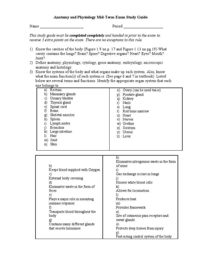 anatomy and physiology 1 midterm exam answers