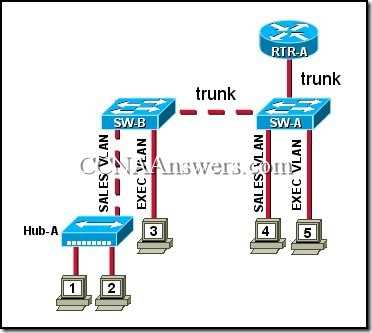 cisco exam 1 answers