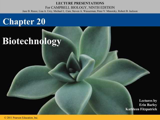 chapter 20 dna tools and biotechnology reading guide answers