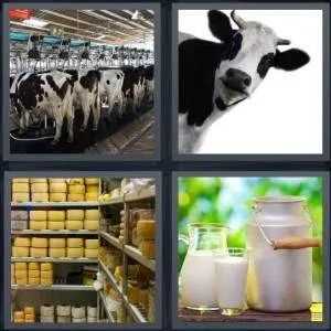 4pics1word answers 7 letters