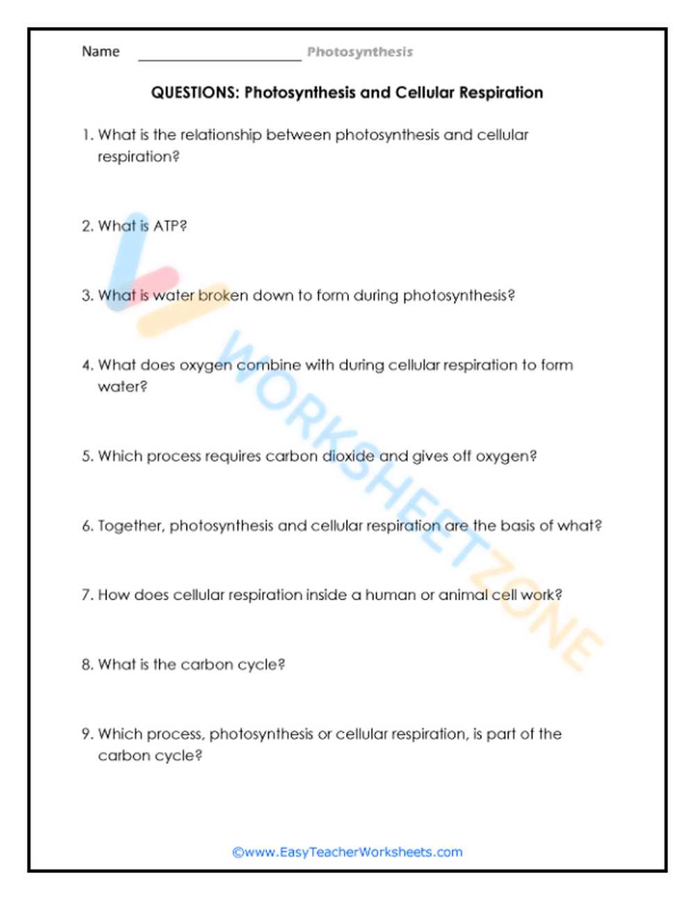 8.3 the process of photosynthesis worksheet answers