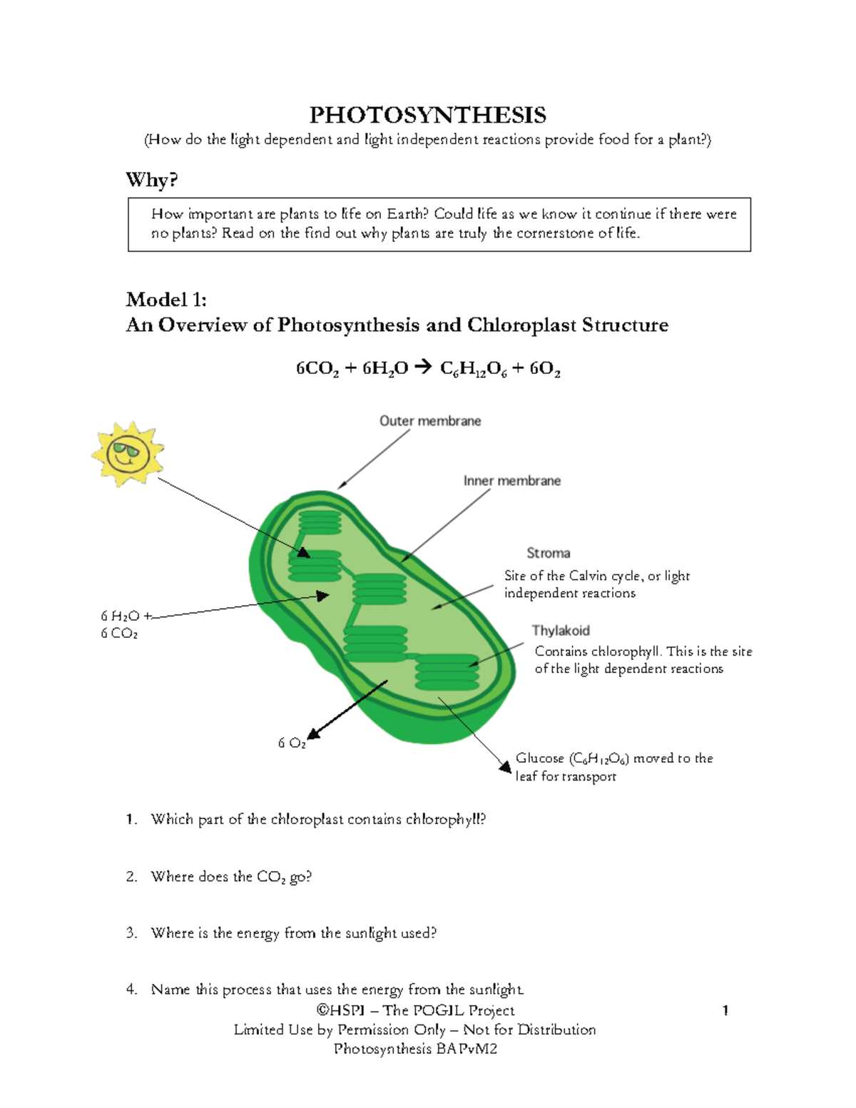 8.3 the process of photosynthesis worksheet answers