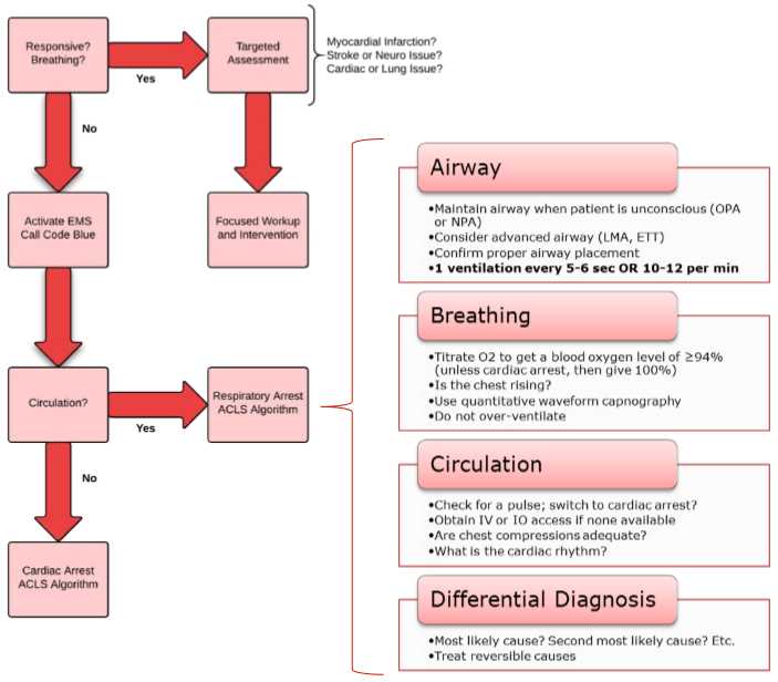 acls exam answer sheet