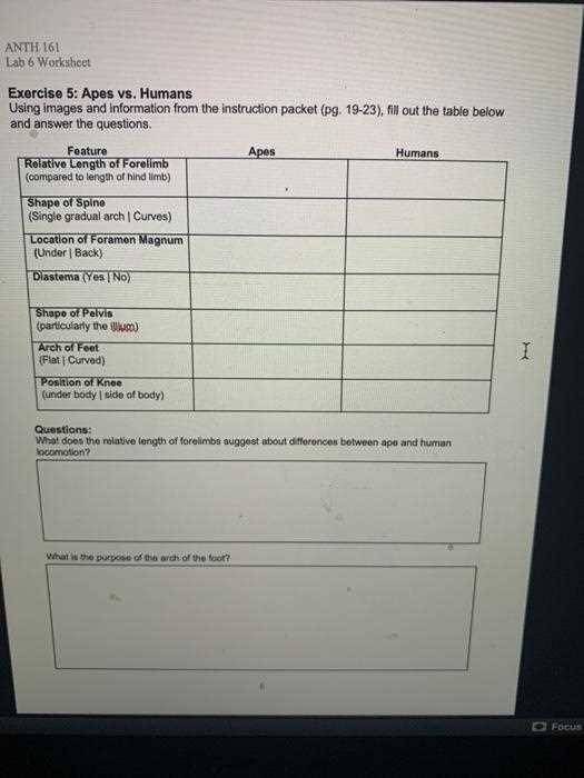 algebra with pizzazz worksheet answers page 161