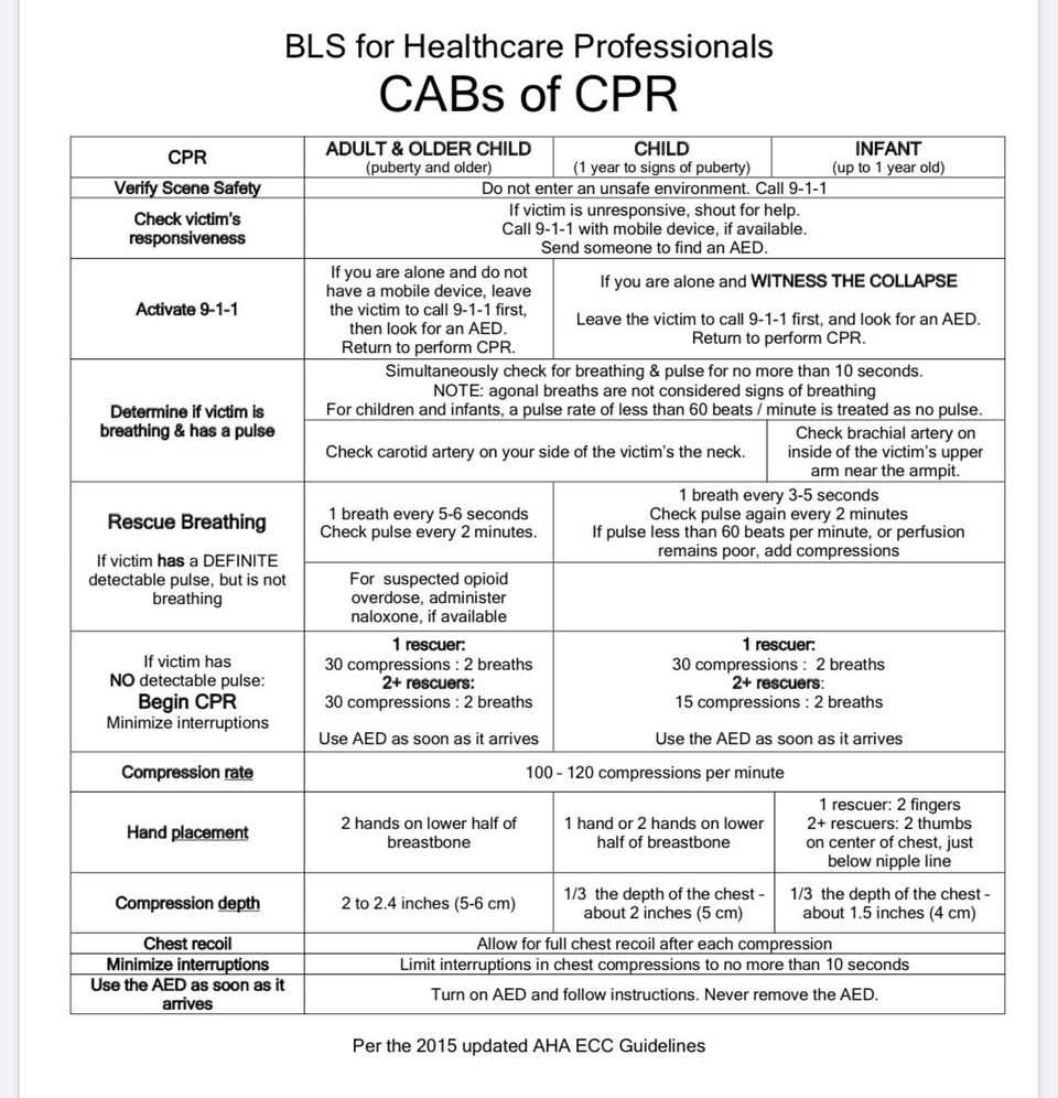 american red cross bls final exam answers