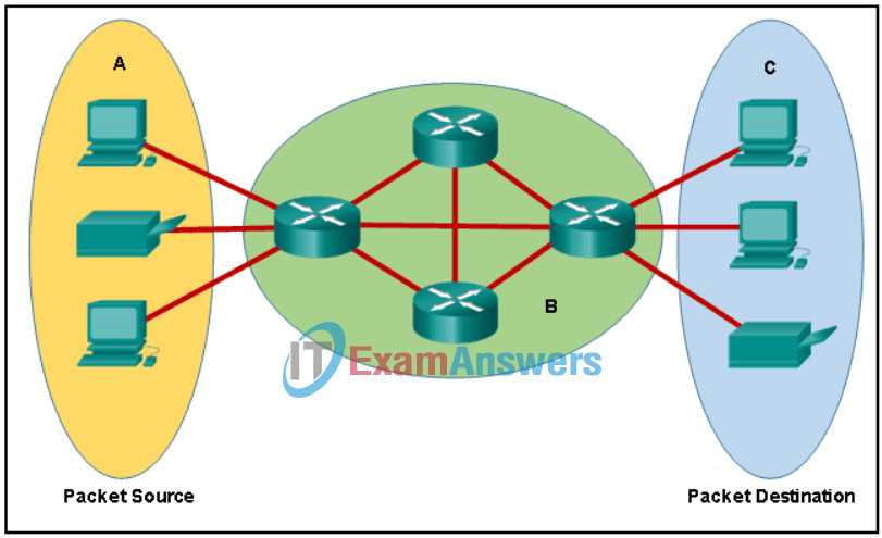 amsc basic course exam answers