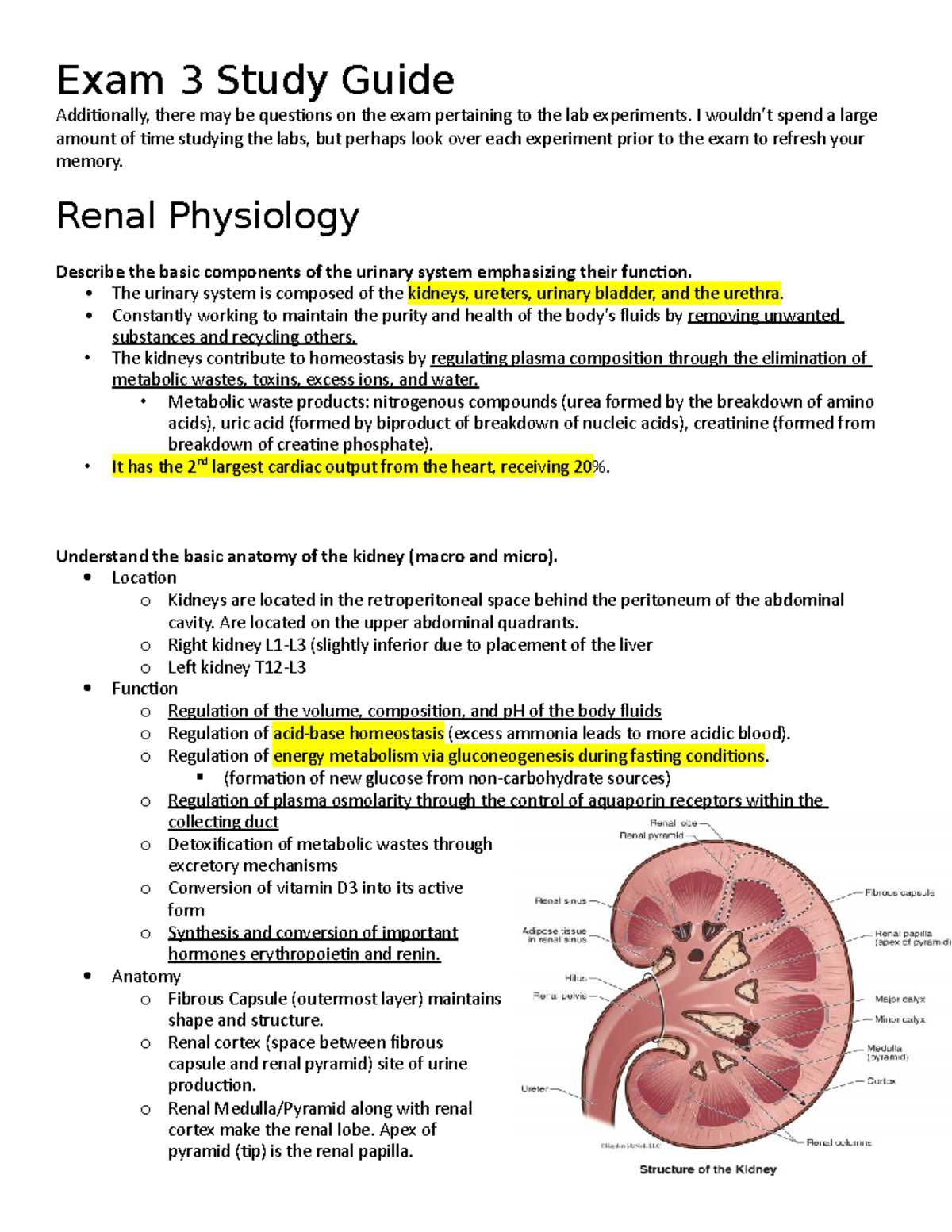 anatomy and physiology exam 3 answers