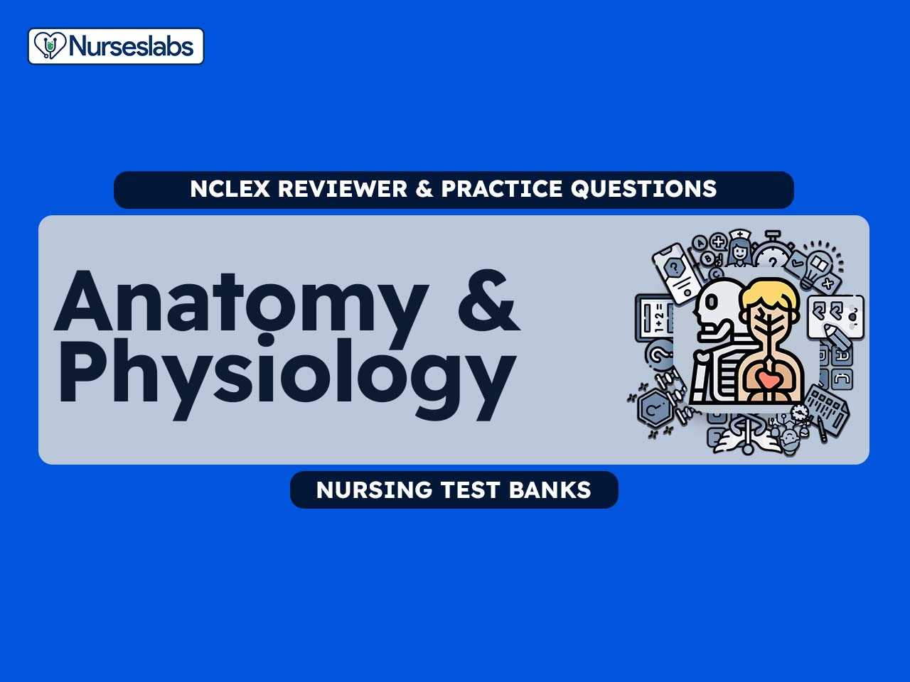 anatomy and physiology exam questions