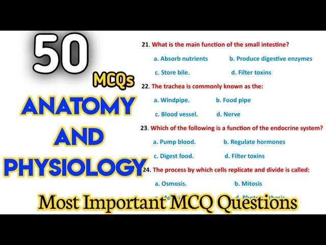 anatomy and physiology exam questions and answers