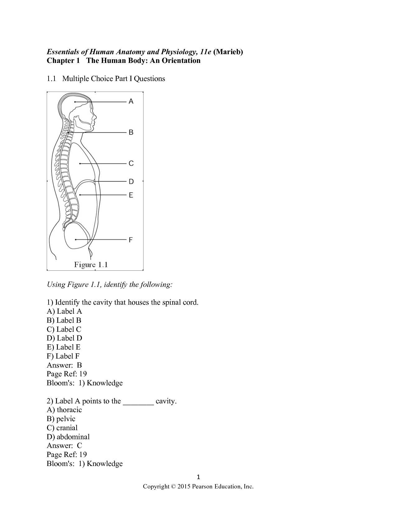 anatomy and physiology exam with answers