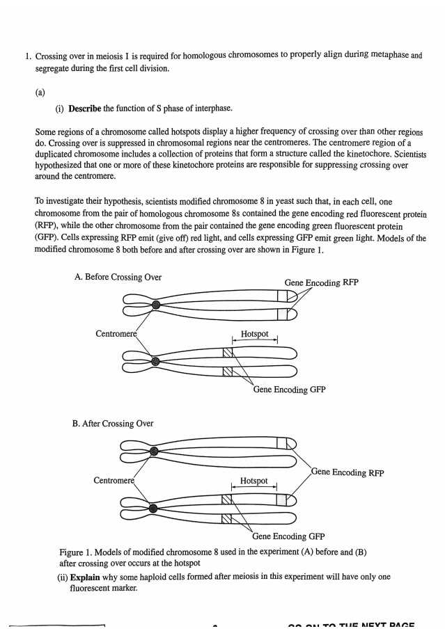 ap bio 2025 exam answers