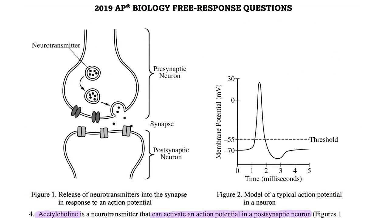 ap biology exam questions and answers