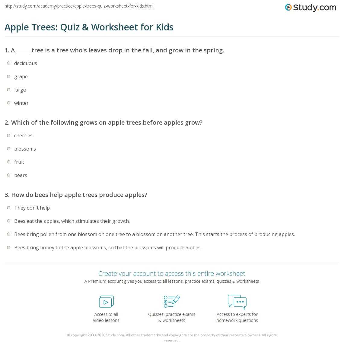 apple exam answers