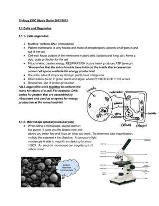 biology 1 eoc practice test answers