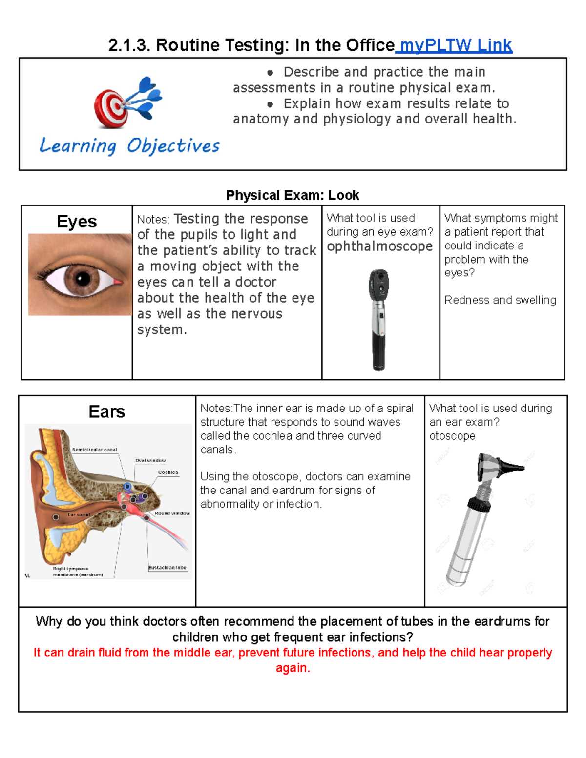 bitlife eye exam answers