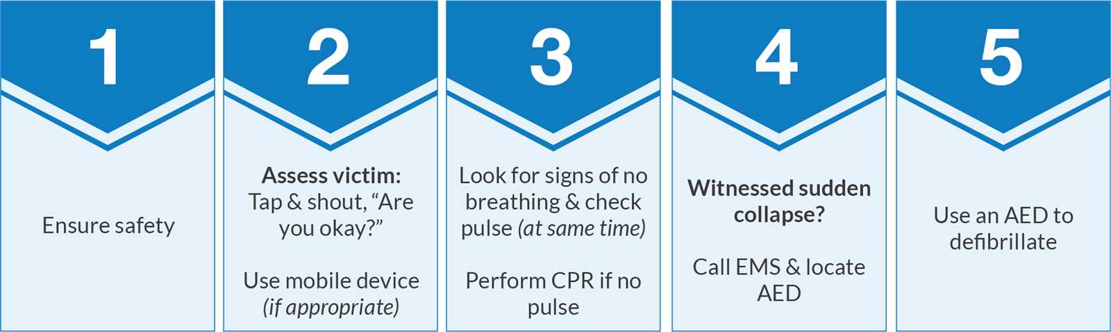 bls recertification exam answers