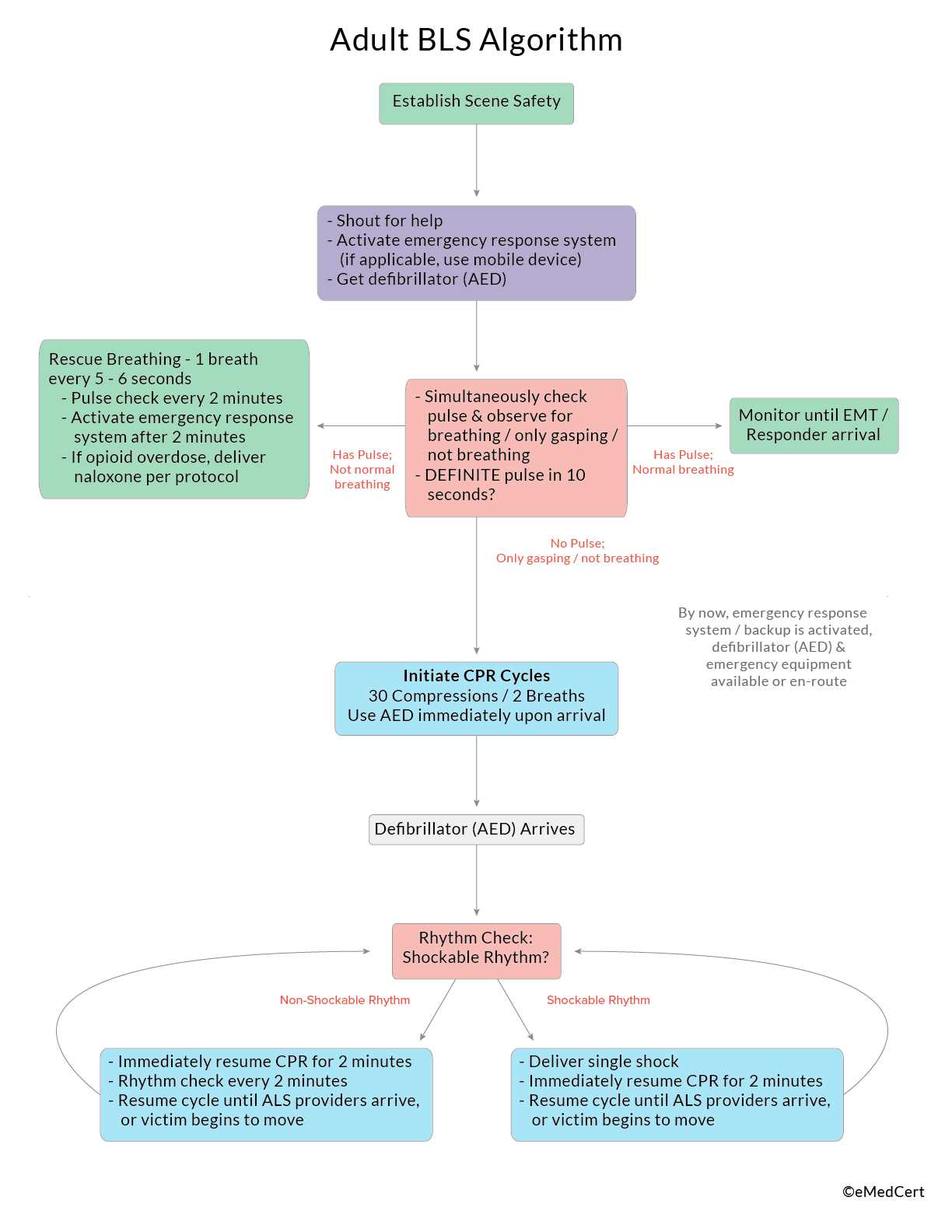 bls recertification exam answers