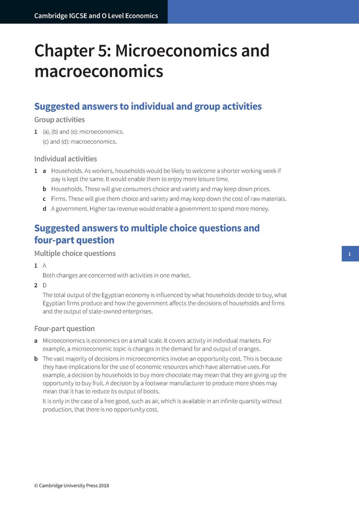 cambridge igcse economics exam style questions answers