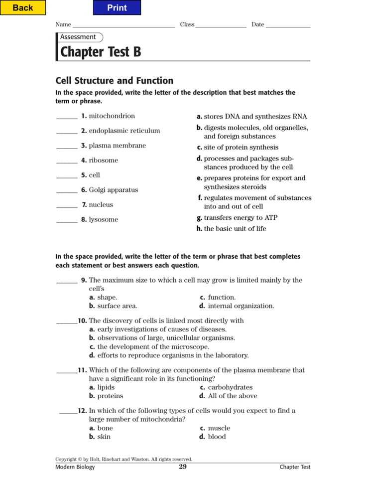 cell size worksheet answer key