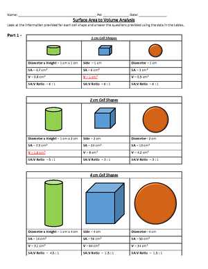 cell size worksheet answer key