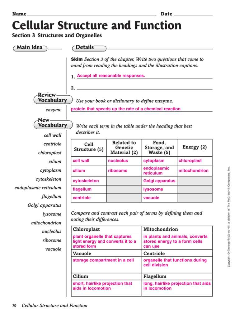 cell structure and function chapter 7 assessment answers