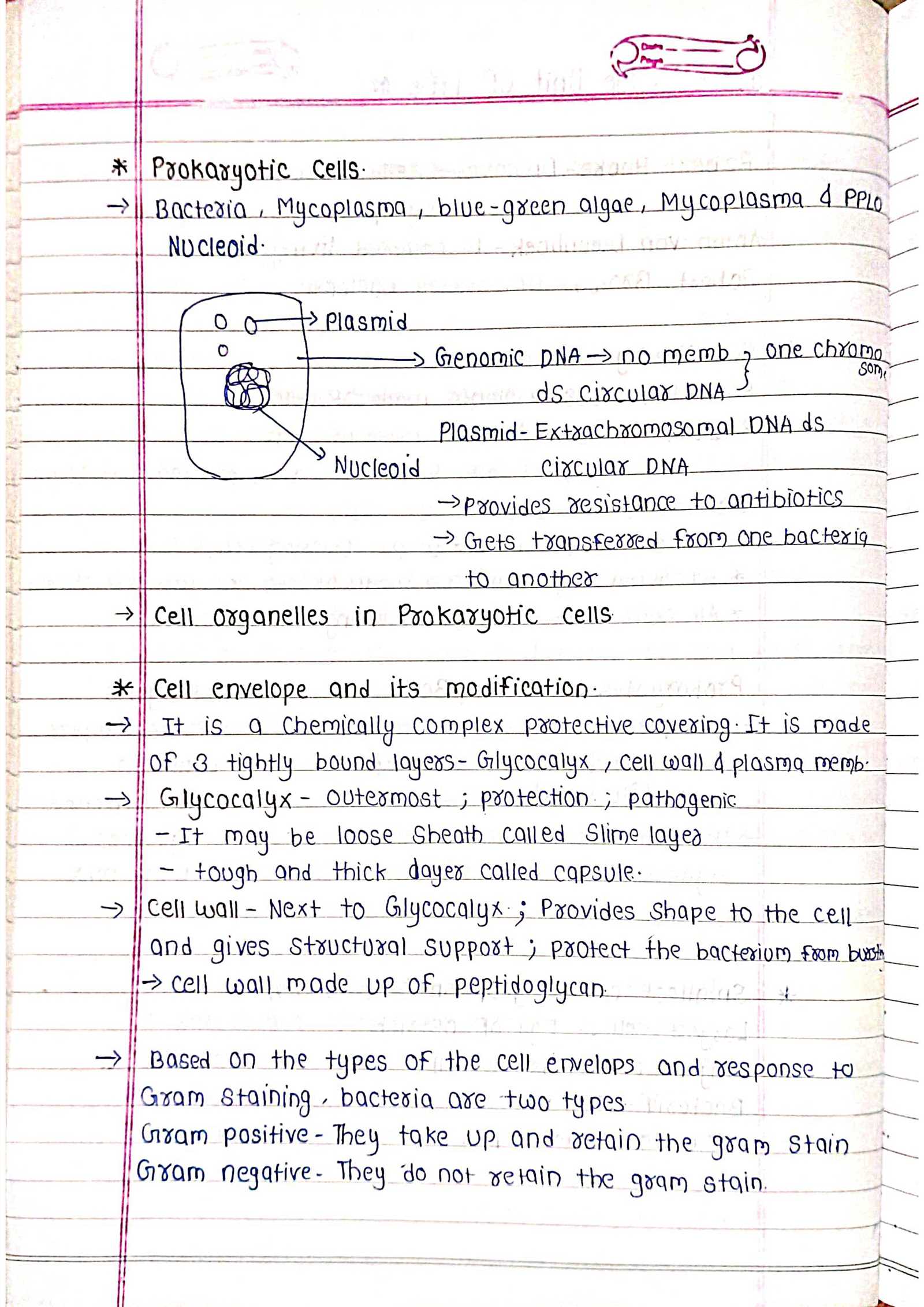 cell unit exam answers