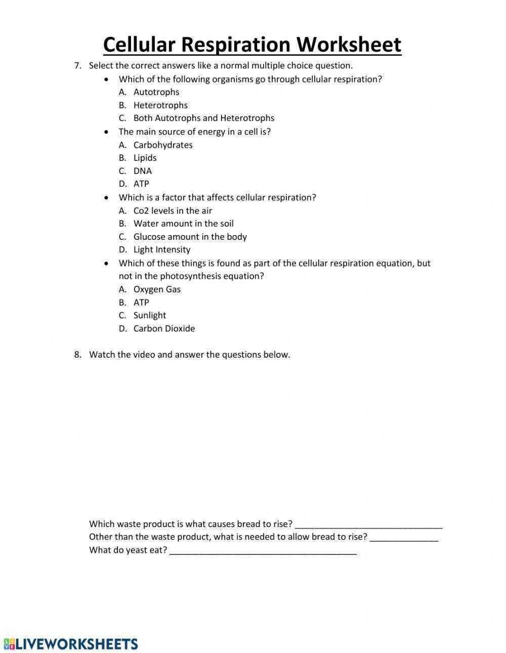 cellular respiration virtual lab answer key phschool