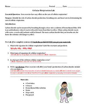 cellular respiration virtual lab answer key phschool