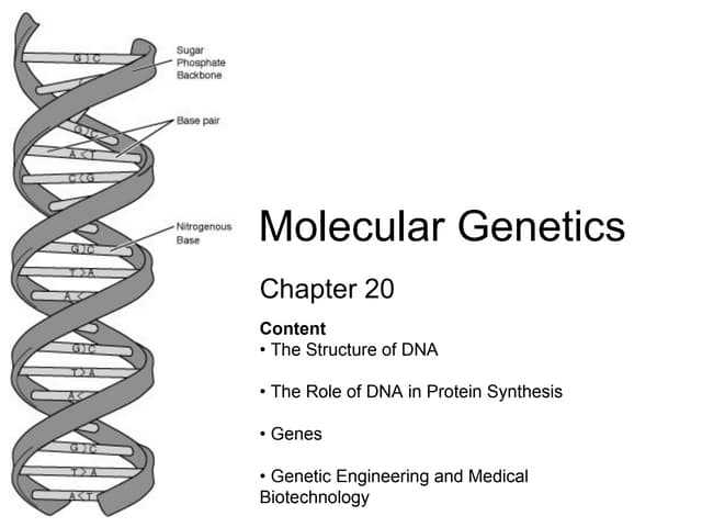 chapter 20 dna tools and biotechnology reading guide answers