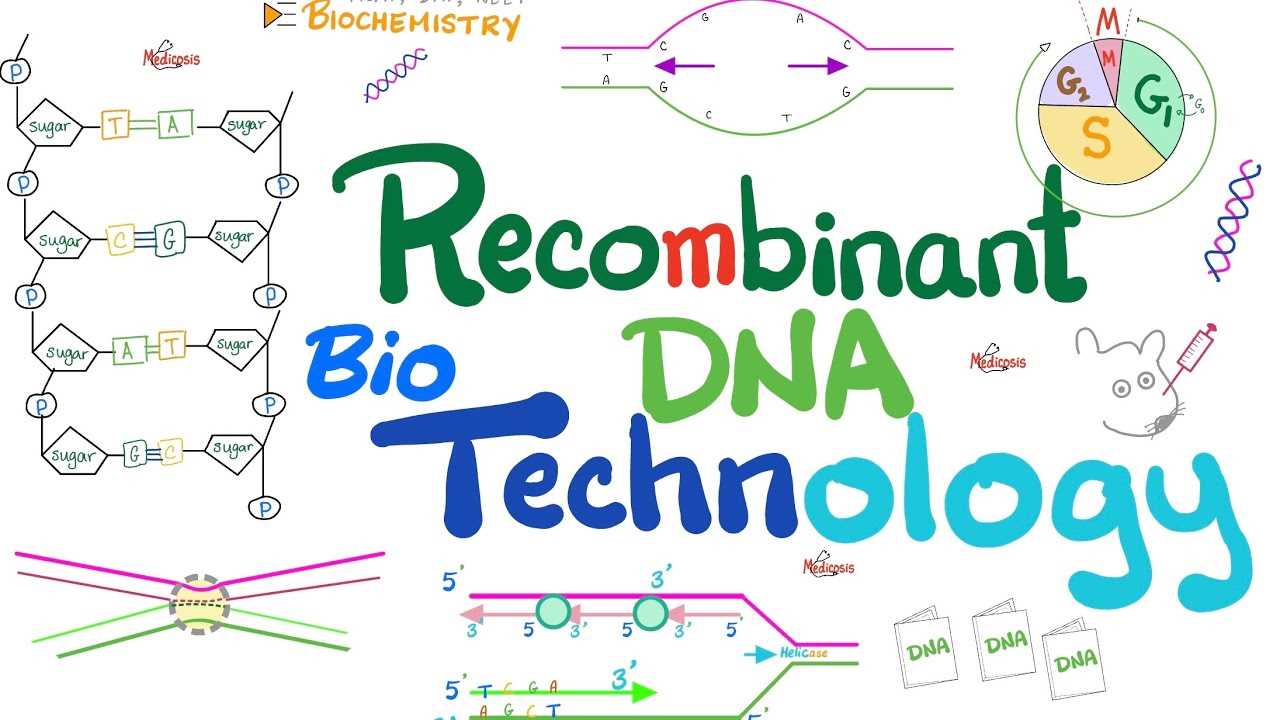 chapter 20 dna tools and biotechnology reading guide answers