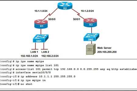 chapter 5 ccna exam answers