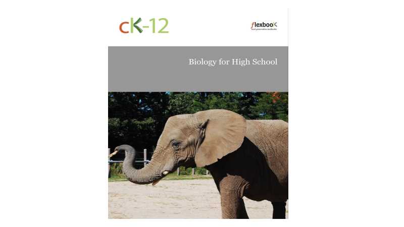 ck 12 biology workbook answers