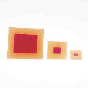 diffusion in agar cubes answer key