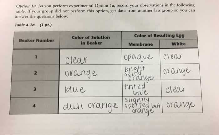 egg lab osmosis and diffusion answers