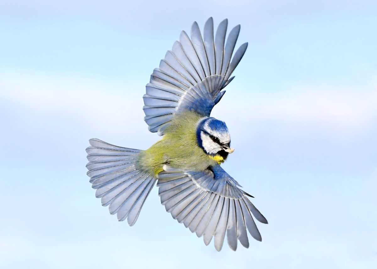 explore learning rainfall and bird beaks answer key