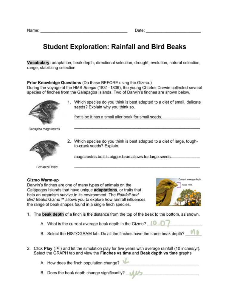 explore learning rainfall and bird beaks answer key