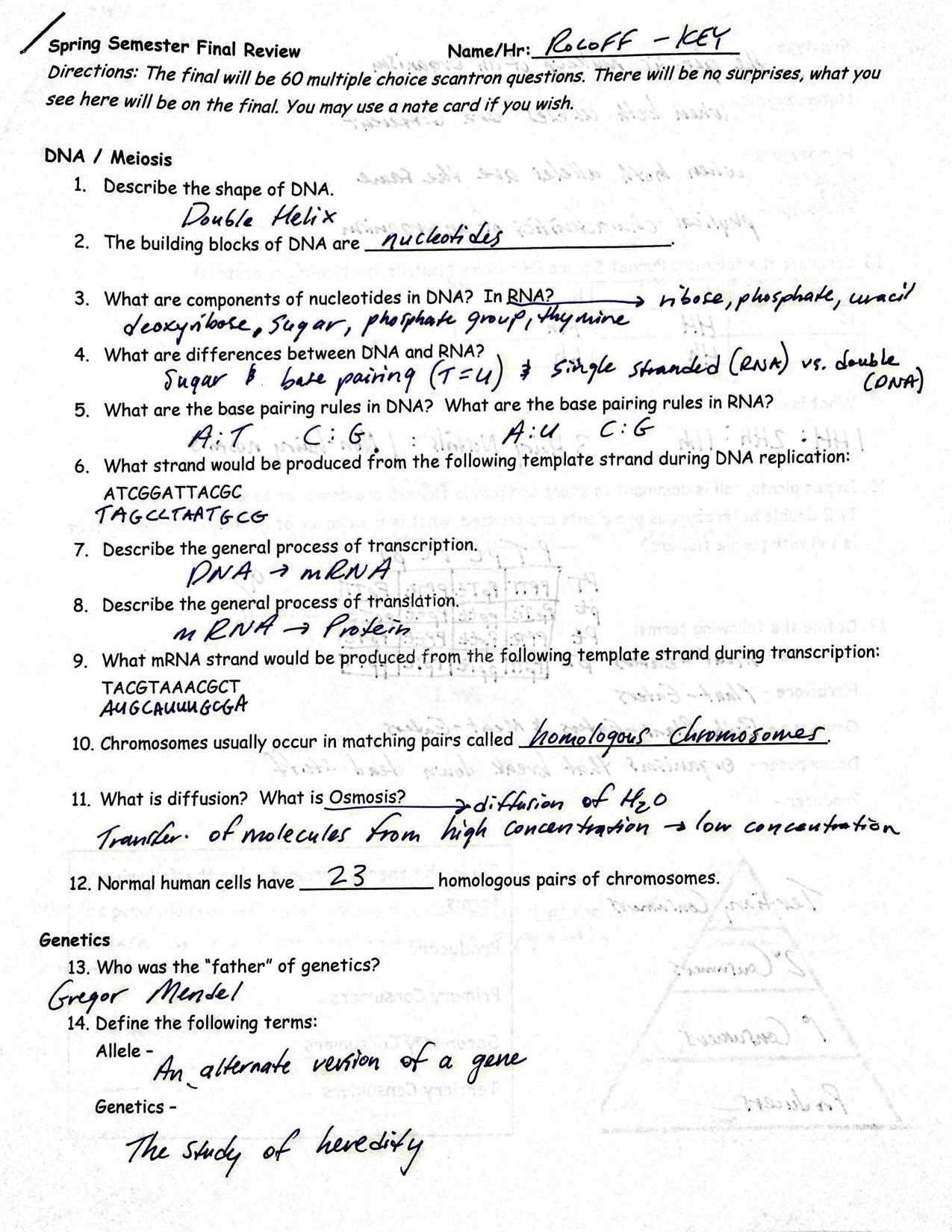 floral design final exam review answers