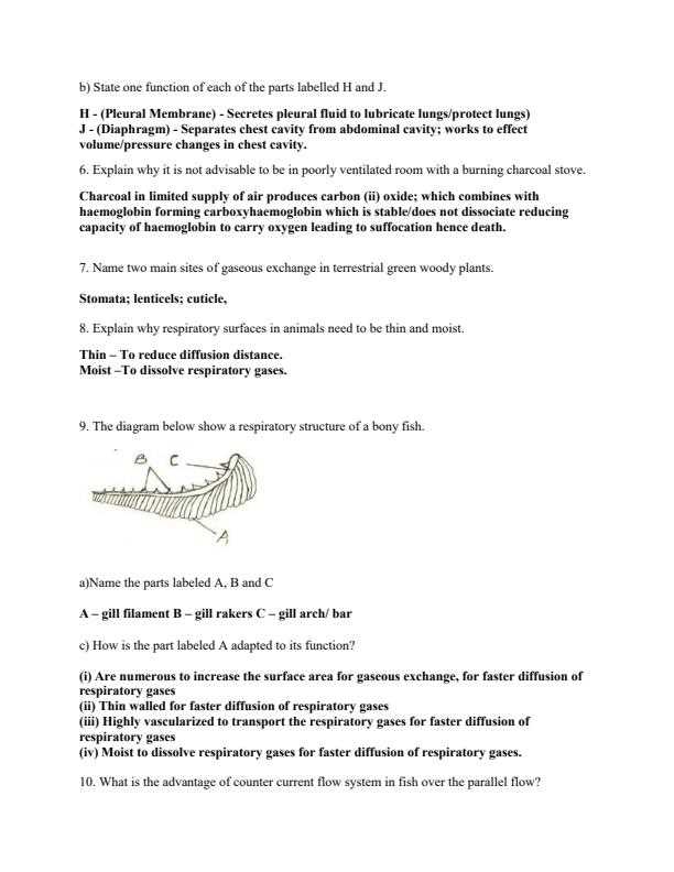 flvs biology segment 2 exam answers