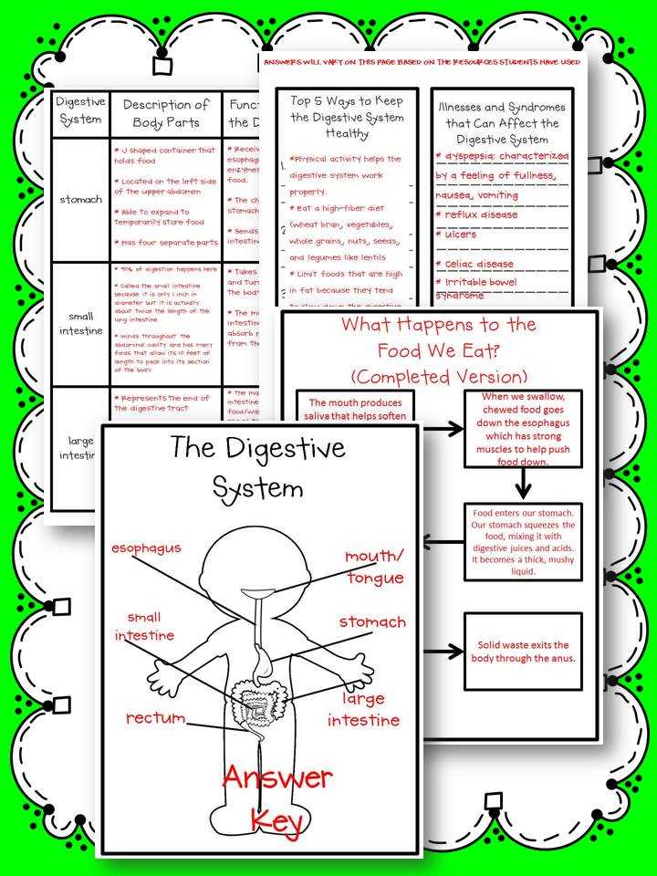 human body systems exam answer key