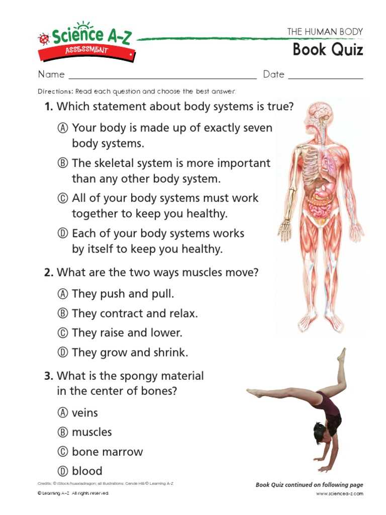 human body systems exam answer key