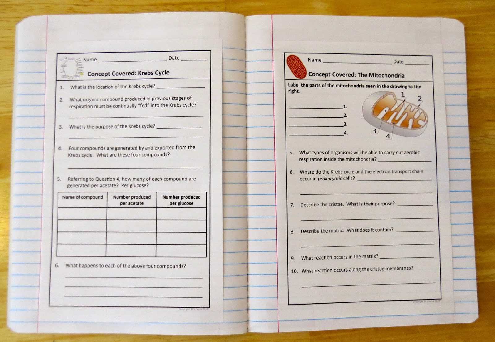 interactive science cells and heredity answer key